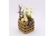 Arrangementen helleborus NHCR-2501 Verboom Helleborus 1 pp 