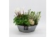 Arrangementen tuinplanten ODXM-2555 Xmas Outdoor 2 pp 