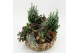 Arrangementen tuinplanten ODXM-2536 Xmas Outdoor 9 pp 