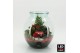Arrangementen kerst XMAS-25312LED Kerst creatie terrarium 3 pp 