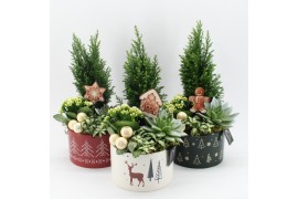 Arrangementen kerst XMAS-25024M Kerst creatie 4 pp