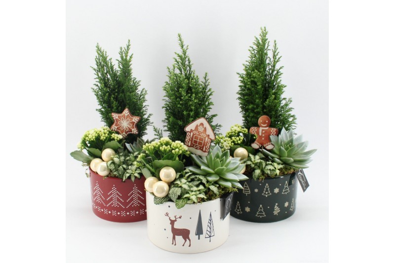 Arrangementen kerst XMAS-25024M Kerst creatie 4 pp Arrangementen kerst XMAS-25024M Kerst creatie 4 pp