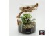 Arrangementen kerst XMAS-25213LED Kerst creatie terrarium 2 pp 