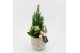 Arrangementen kerst XMAS-25304 Kerst creatie 2 pp 