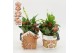 Arrangementen kerst XMAS-25246 Kerst creatie 3 pp 