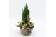 Arrangementen kerst XMAS-25116 Kerst creatie 3 pp 