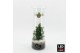 Arrangementen kerst XMAS-25311LED Kerst creatie terrarium 1 pp 