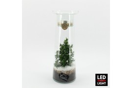 Arrangementen kerst XMAS-25311LED Kerst creatie terrarium 1 pp