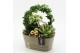 Arrangementen kerst XMAS-25301 Kerst creatie 3 pp 
