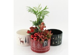 Arrangementen kerst XMAS-25023MA Kerst creatie 4 pp