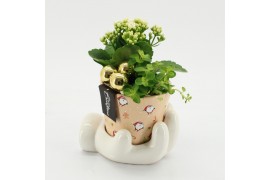 Arrangementen kerst XMAS-25267 Kerst creatie 2 pp