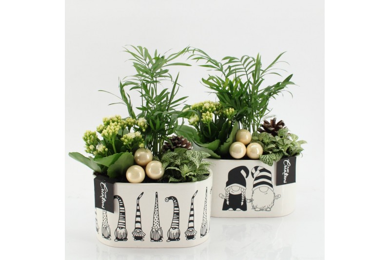 Arrangementen kerst XMAS-25280 Kerst creatie 3 pp Arrangementen kerst XMAS-25280 Kerst creatie 3 pp