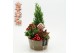 Arrangementen kerst XMAS-25298 Kerst creatie 3 pp 