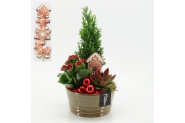 Arrangementen kerst XMAS-25298 Kerst creatie 3 pp