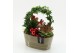 Arrangementen kerst XMAS-25300 Kerst creatie 3 pp 