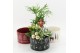 Arrangementen kerst XMAS-25024MA Kerst creatie 4 pp 