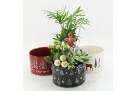 Arrangementen kerst XMAS-25024MA Kerst creatie 4 pp