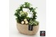 Arrangementen kerst XMAS-25271LED Kerst creatie 3 pp 
