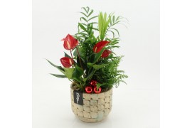 Arrangementen kerst XMASXL-2519 Kerst XL 3 pp