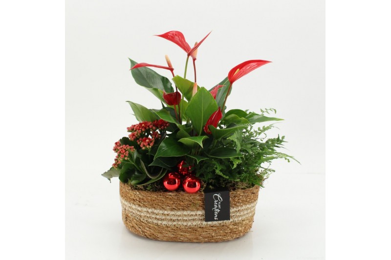 Arrangementen kerst XMASXL-2525 Kerst XL 3 pp Arrangementen kerst XMASXL-2525 Kerst XL 3 pp