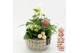 Arrangementen kerst XMASXL-2522 Kerst XL 3 pp 