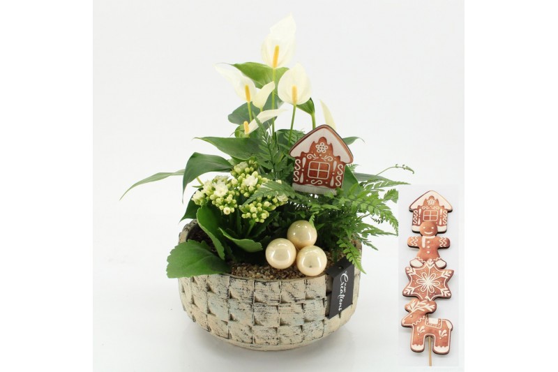 Arrangementen kerst XMASXL-2522 Kerst XL 3 pp Arrangementen kerst XMASXL-2522 Kerst XL 3 pp