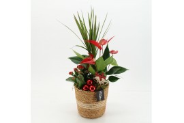 Arrangementen kerst XMASXL-2523 Kerst XL 3 pp