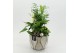 Arrangementen kerst XMASXL-2511 Kerst XL 3 pp 