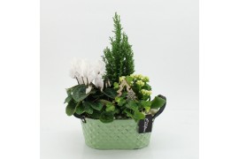 Arrangementen kerst XMASXL-2530 Kerst XL 4 pp