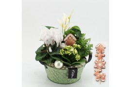 Arrangementen kerst XMASXL-2528 Kerst XL 4 pp