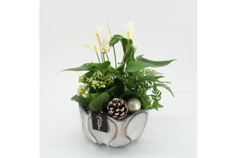 Arrangementen kerst XMASXL-2510 Kerst XL 3 pp Arrangementen kerst XMASXL-2510 Kerst XL 3 pp