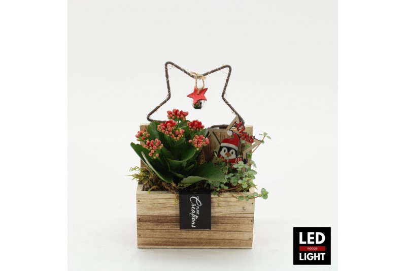 Arrangementen kerst XMAS-25248LED Kerst creatie 2 pp Arrangementen kerst XMAS-25248LED Kerst creatie 2 pp