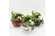 Arrangementen kerst XMAS-25022M Kerst creatie 2 pp 