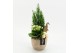 Arrangementen kerst XMAS-25269 Kerst creatie 2 pp 
