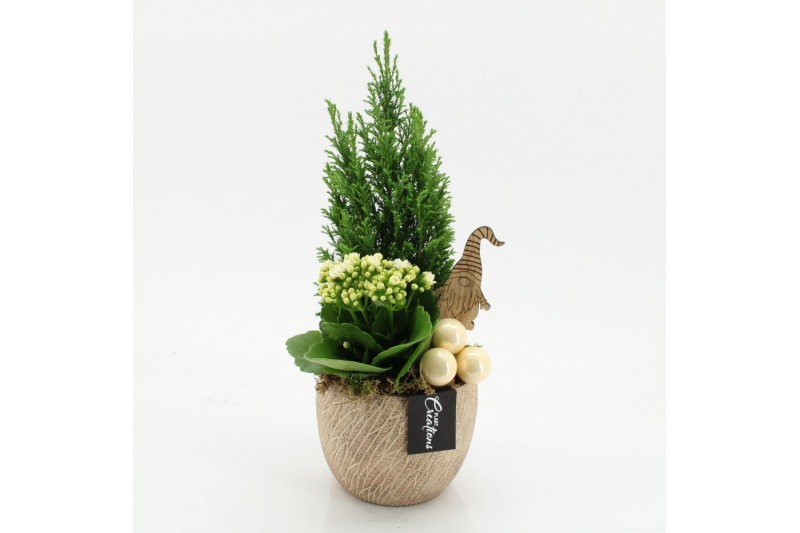 Arrangementen kerst XMAS-25269 Kerst creatie 2 pp Arrangementen kerst XMAS-25269 Kerst creatie 2 pp