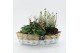 Arrangementen tuinplanten ODXM-2553 Xmas Outdoor 2 pp 