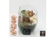 Arrangementen hippeastrum HICR-2507WLED Kerst Amaryllis 1 pp 