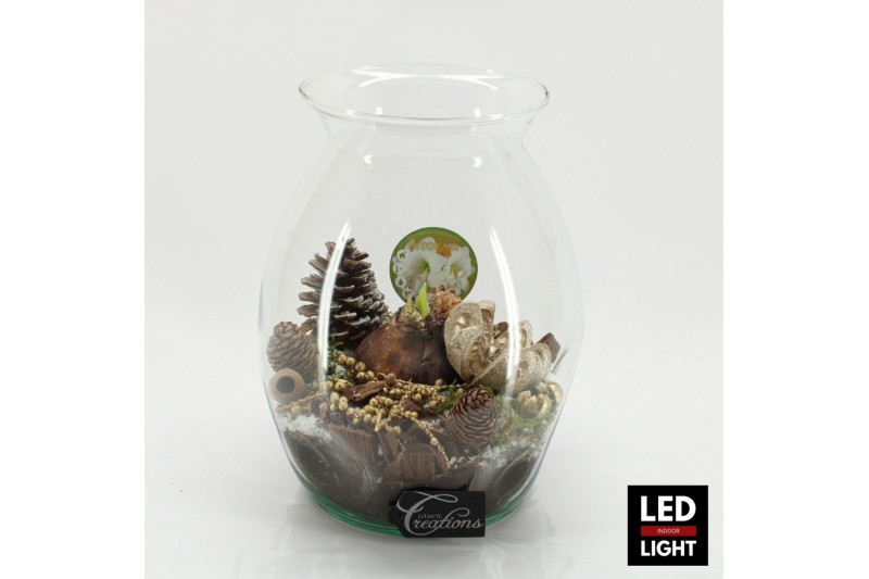 Arrangementen hippeastrum HICR-2506WLED Kerst Amaryllis terrarium 1 pp Arrangementen hippeastrum HICR-2506WLED Kerst Amaryllis terrarium 1 pp