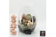 Arrangementen hippeastrum HICR-2509WLED Kerst Amaryllis terrarium 1 pp 