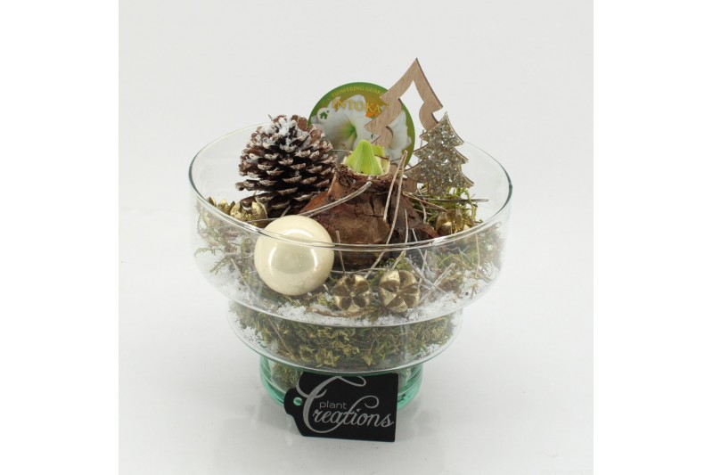 Arrangementen hippeastrum HICR-2508W Kerst Amaryllis 1 pp Arrangementen hippeastrum HICR-2508W Kerst Amaryllis 1 pp