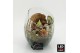 Arrangementen hippeastrum HICR-2503WLED Kerst Amaryllis 1 pp 