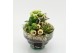 Arrangementen kerst XMAS-25209 Kerst creatie 3 pp 