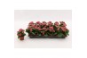 Kalanchoe calandiva weaver Double Sylca, without sleeve