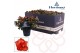 Rhododendron simsii hortinno christine siena Hortinno® Home 