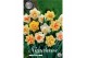 Narcissus Narcissus Double Mixed x6 14/16 overig pp 