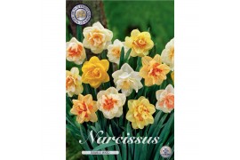 Narcissus Narcissus Double Mixed x6 14/16 overig pp
