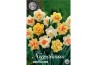 Narcissus Narcissus Double Mixed x6 14/16 overig pp