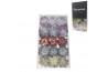 Echeveria snij Echeveria Love Mix (wincx) Cutfl (5 Spcs) 999