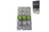 Echeveria snij Echeveria Basic Mix (wincx) Cutfl (5 Spcs) 999