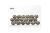 Cactus Lophophora Williamsii (old Plants)